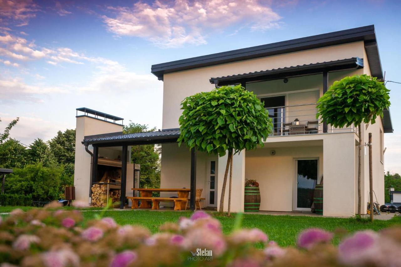 Kuce Za Odmor -Japin Breg Villa Thurdevac Exterior photo