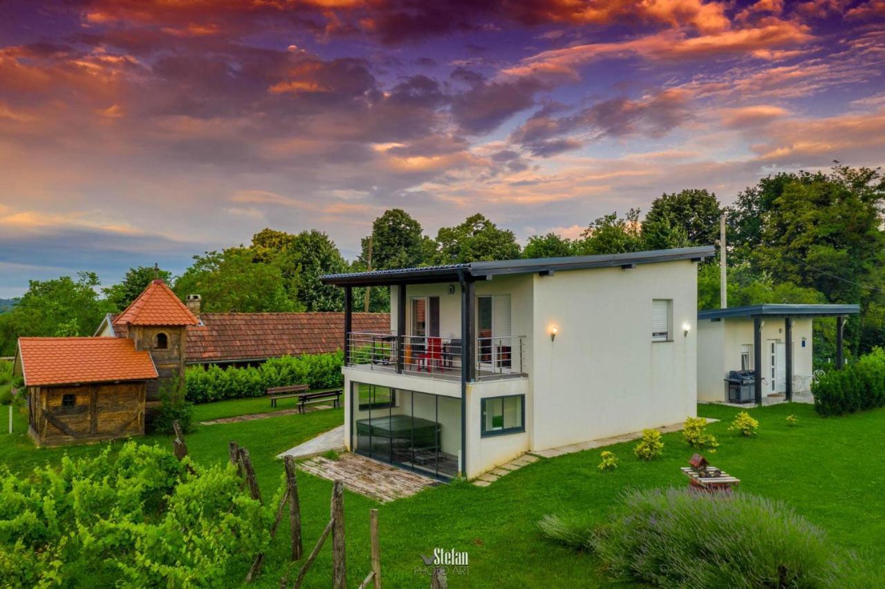 Kuce Za Odmor -Japin Breg Villa Thurdevac Exterior photo