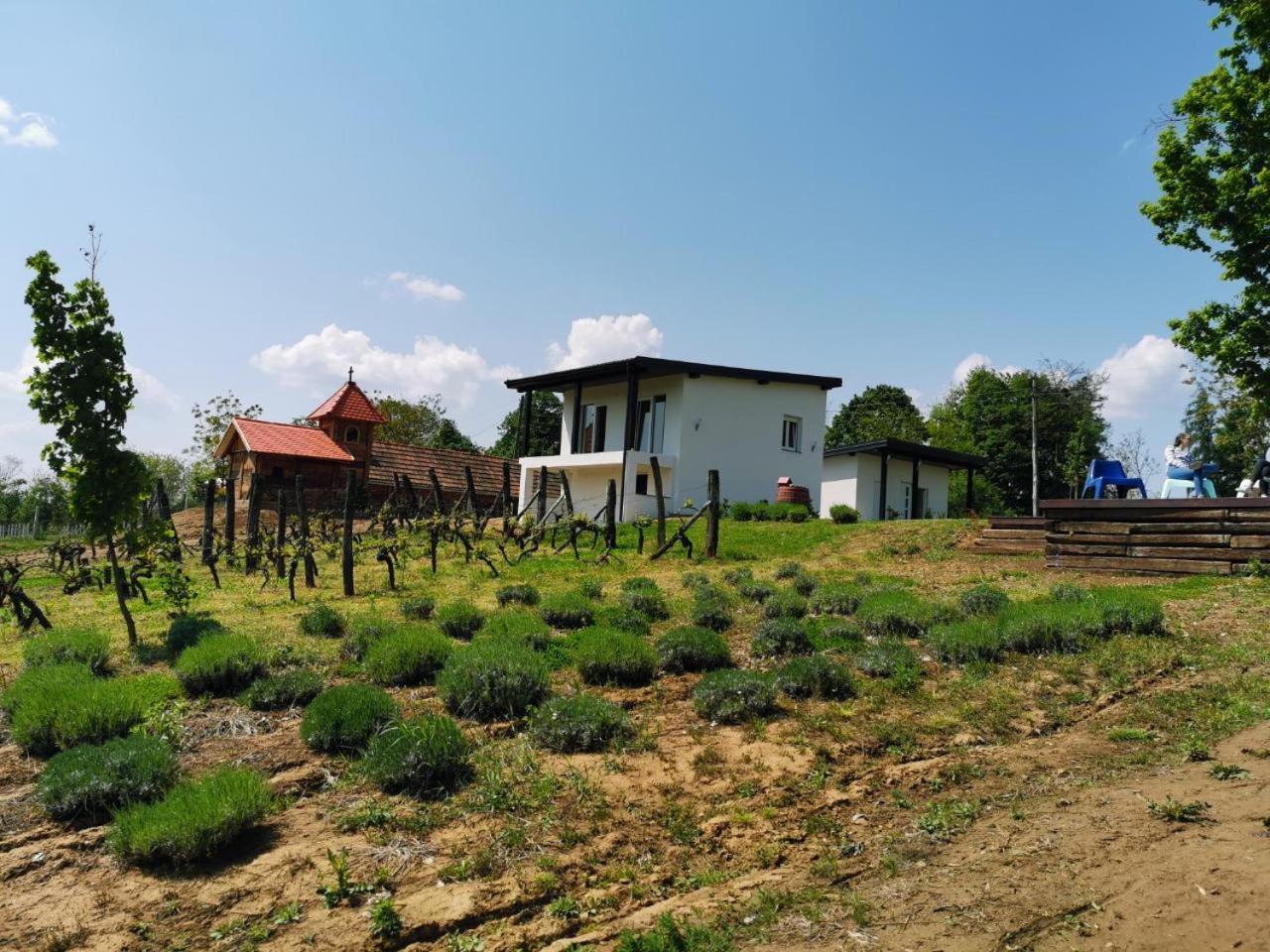 Kuce Za Odmor -Japin Breg Villa Thurdevac Exterior photo